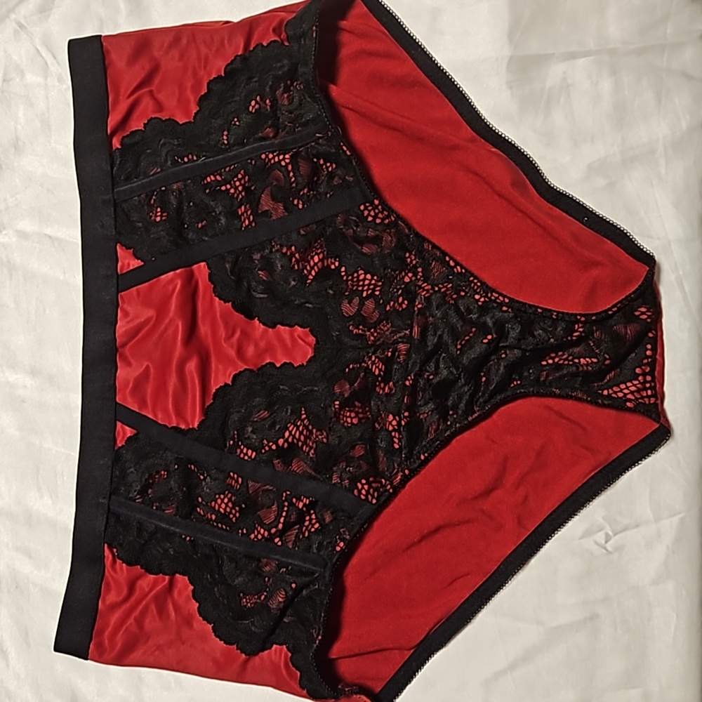 Torrid Curve high waisted panties